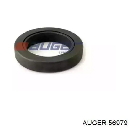  56979 Auger