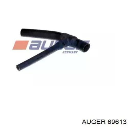 69613 Auger 