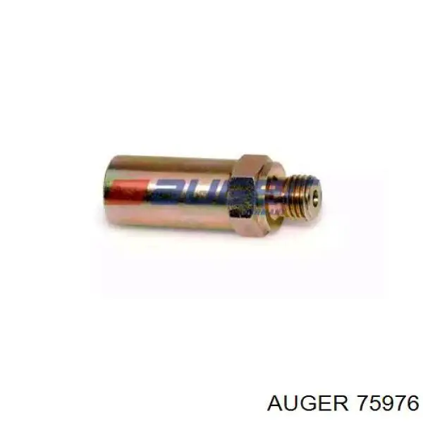 2417413107 Bosch Банджо-болт