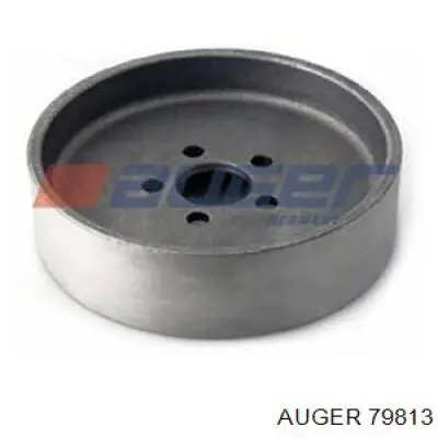 Ремкомплект шкворня поворотного кулака Auger 79813
