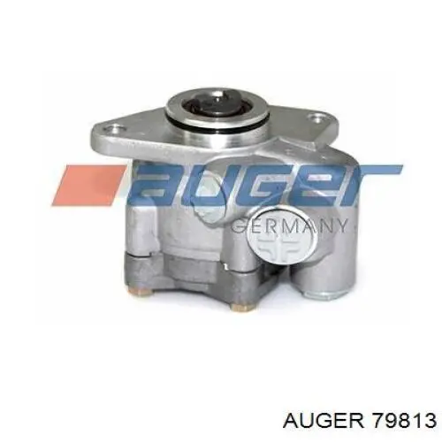 79813 Auger Ремкомплект шкворня поворотного кулака