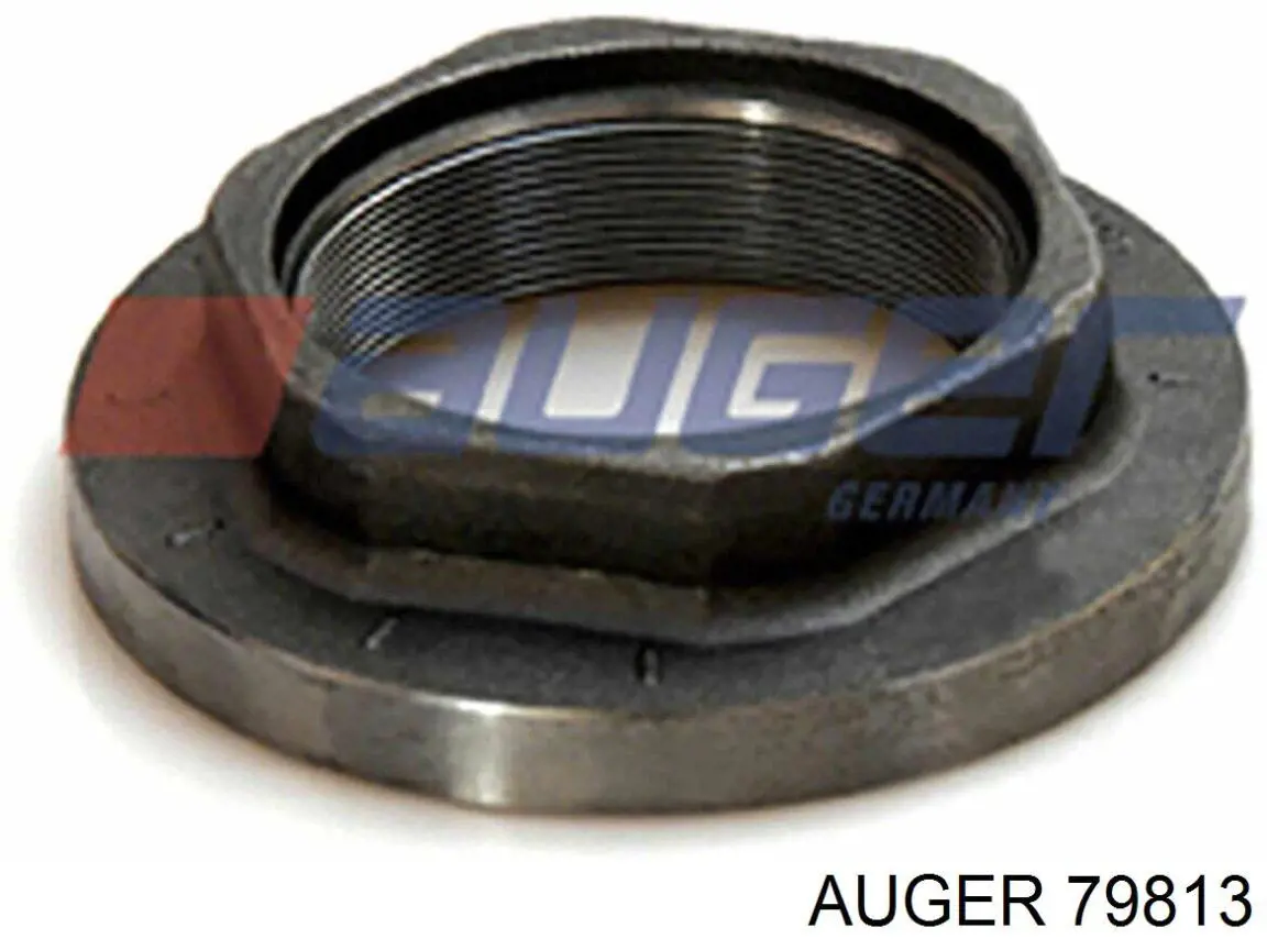 Купить 79813 Auger Ремкомплект шкворня поворотного кулака