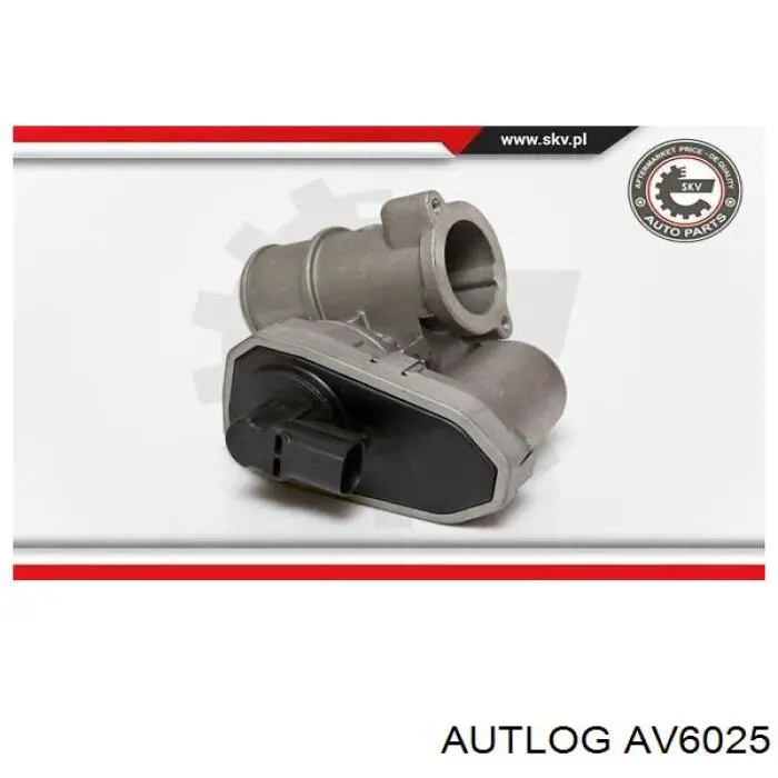 Compre BGR13069 Bugiad Válvula EGR de recirculação dos gases