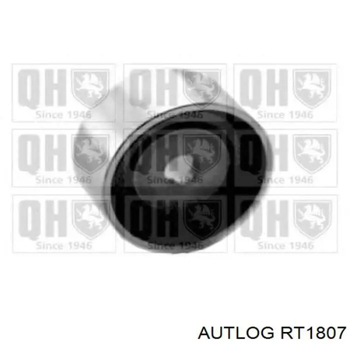 Паразитный ролик ГРМ RT1807 Autlog