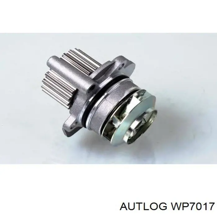 WP7017 Autlog Насос водяной