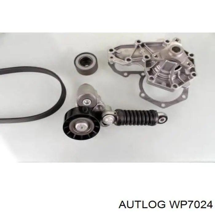 Помпа WP7024 Autlog