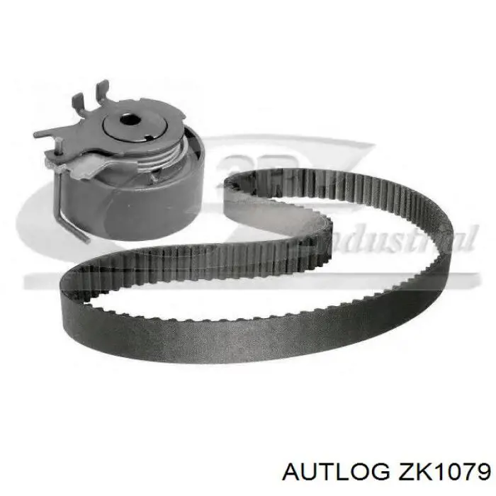 Купить 8660005800 Renault (RVI) Комплект ГРМ