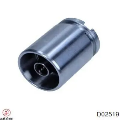 D02519 Autofren