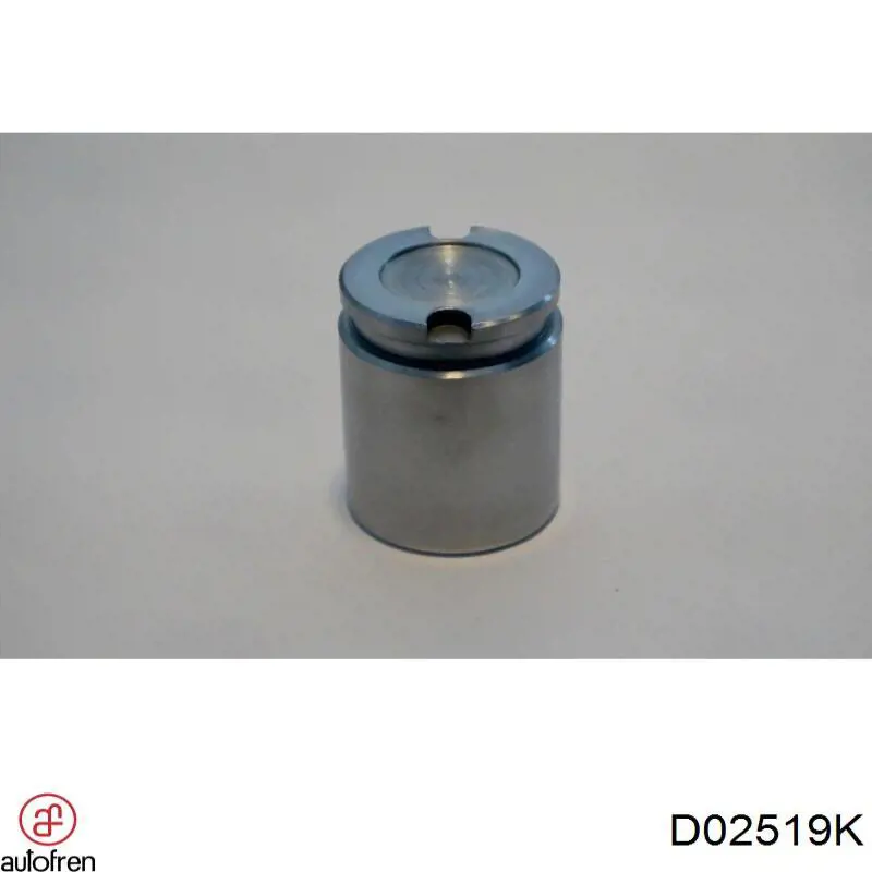 D02519K Autofren