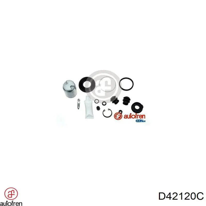 D42120C Autofren