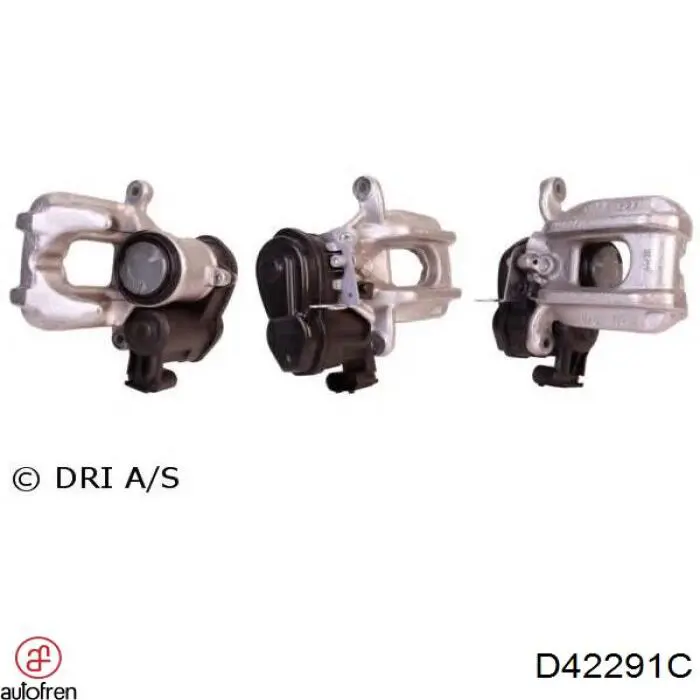 D42291C Autofren Ремкомплект заднего тормозного суппорта