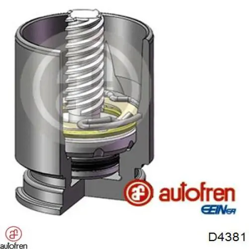 D4381 Autofren ремкомплект суппорта тормозного заднего