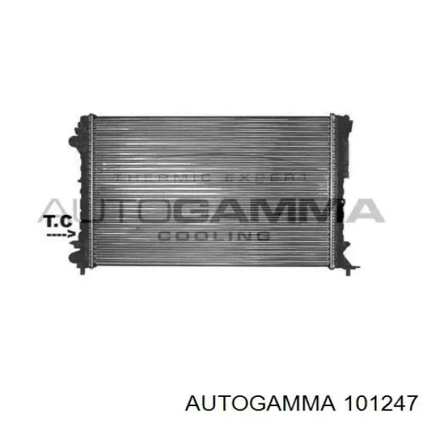 Радиатор охлаждения Renault (RVI) 6025316378