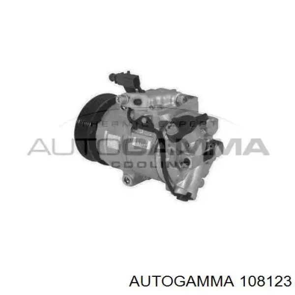 Компрессор кондиционера KTT095006 Thermotec