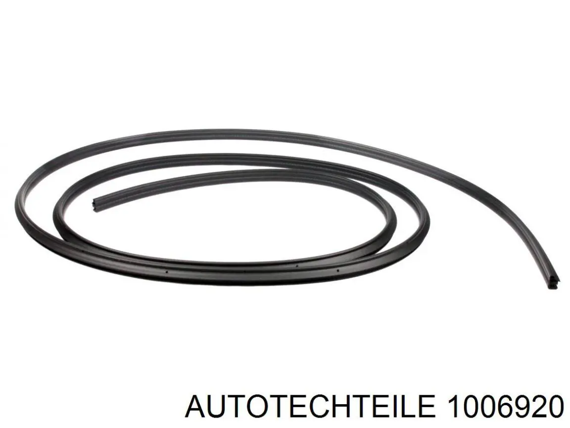 100 6920 Autotechteile compactador da porta traseira (na carroçaria)