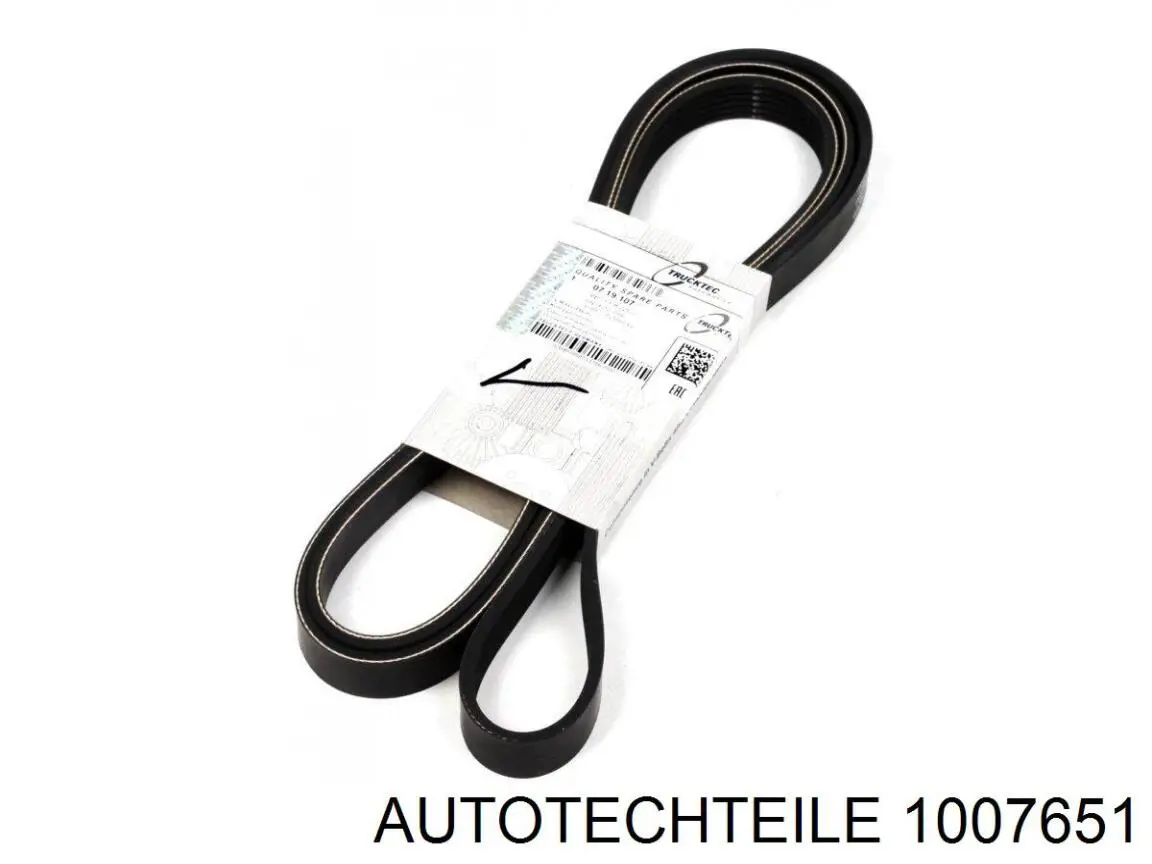Купить 1007651 Autotechteile Ролик двери боковой (сдвижной) правый центральный