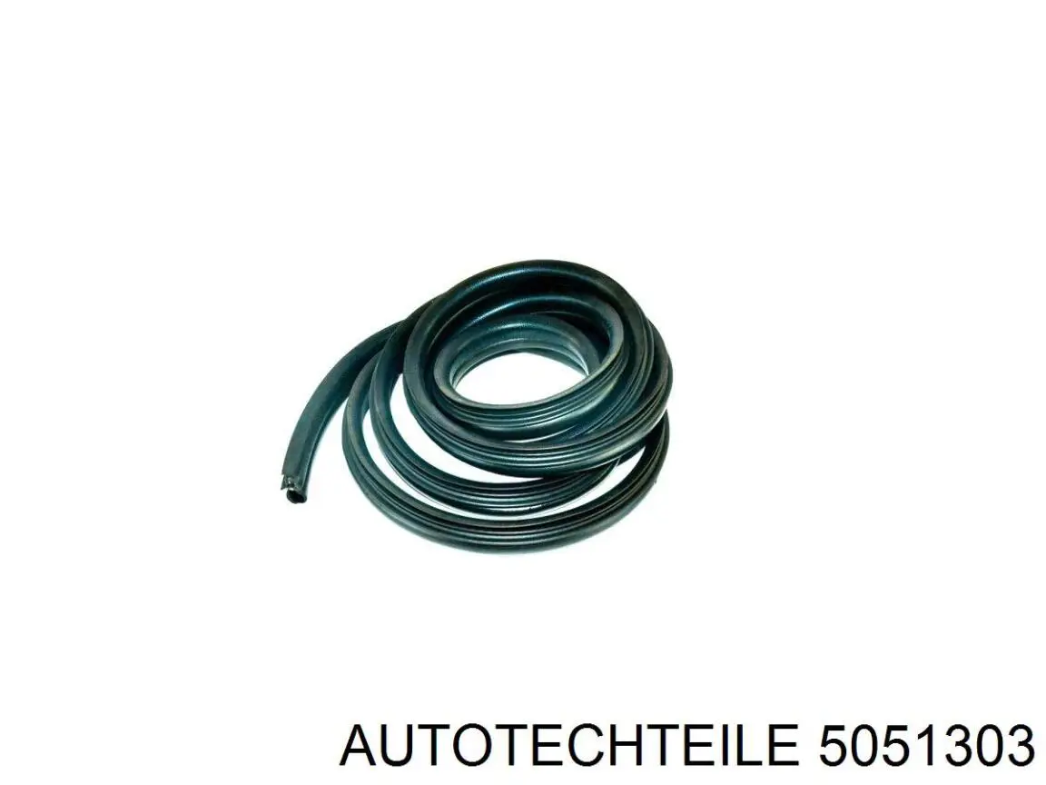 5051303 Autotechteile