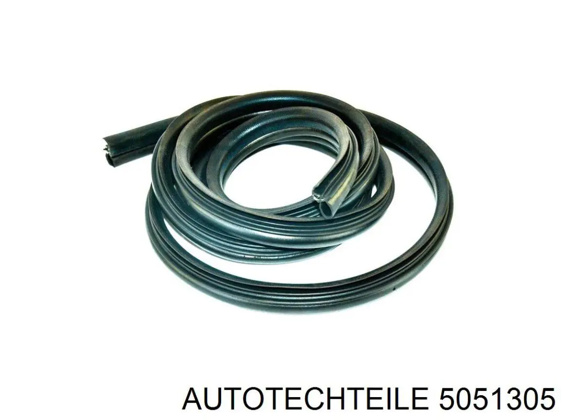 5051305 Autotechteile