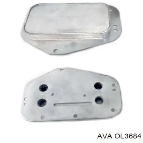 OL3684 AVA