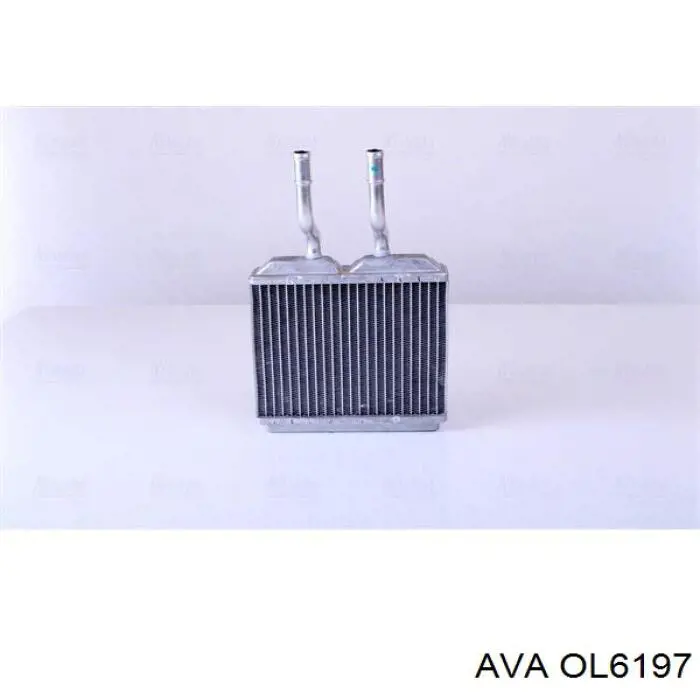 OL6197 AVA