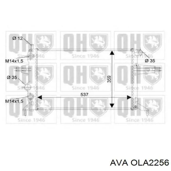 OLA2256 AVA Радиатор основной