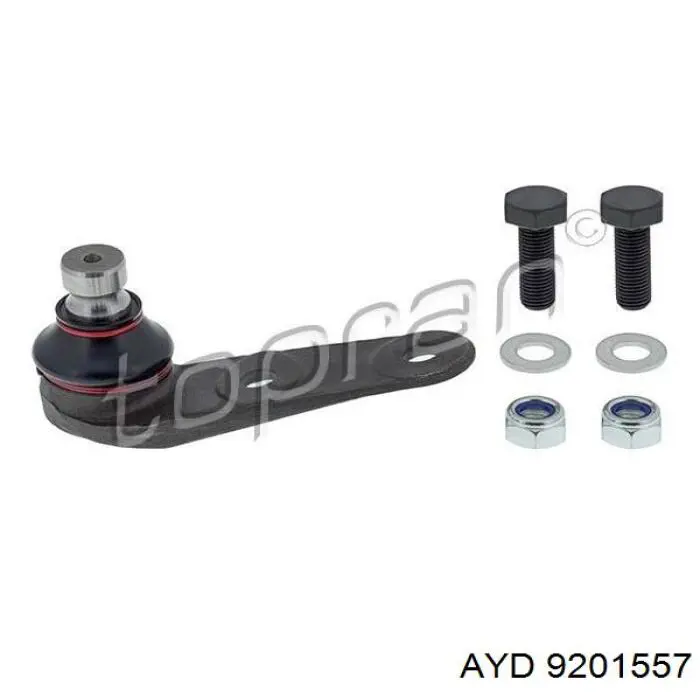 9201557 AYD