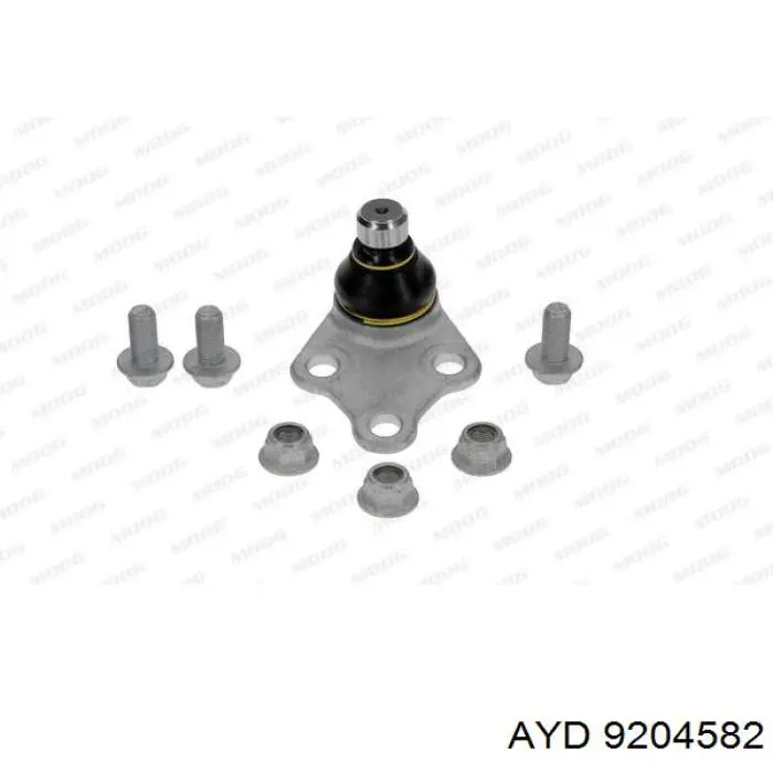 9204582 AYD