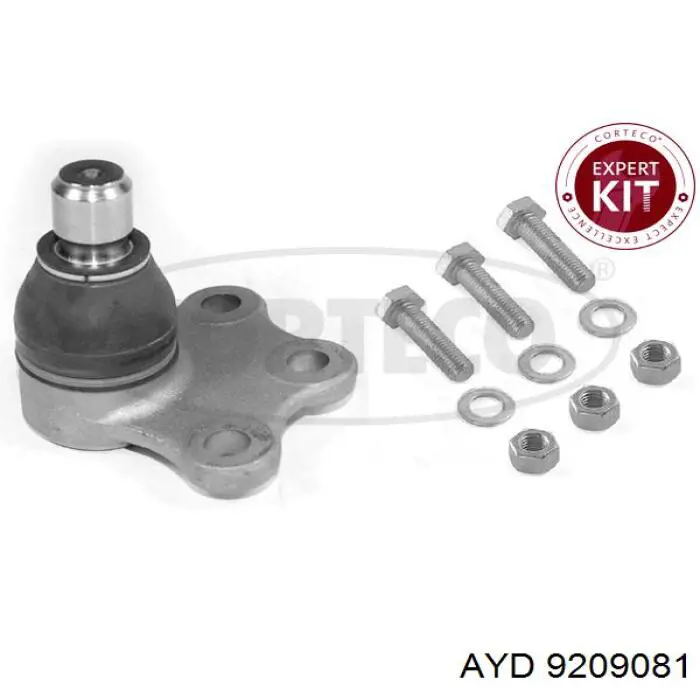 9209081 AYD