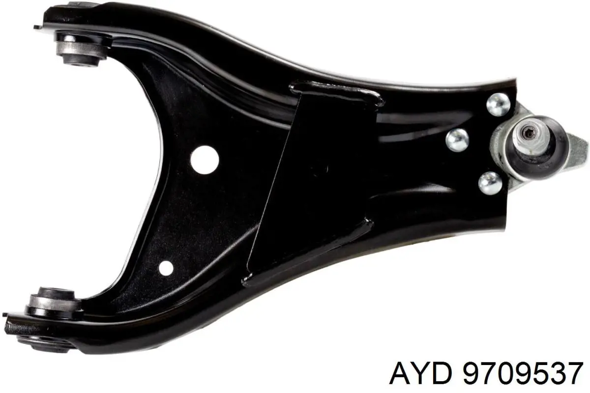 9709537 AYD
