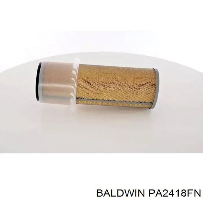 PA2418FN Baldwin Воздушный фильтр двигателя