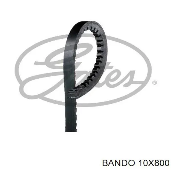 10X800 Bando ремень генератора