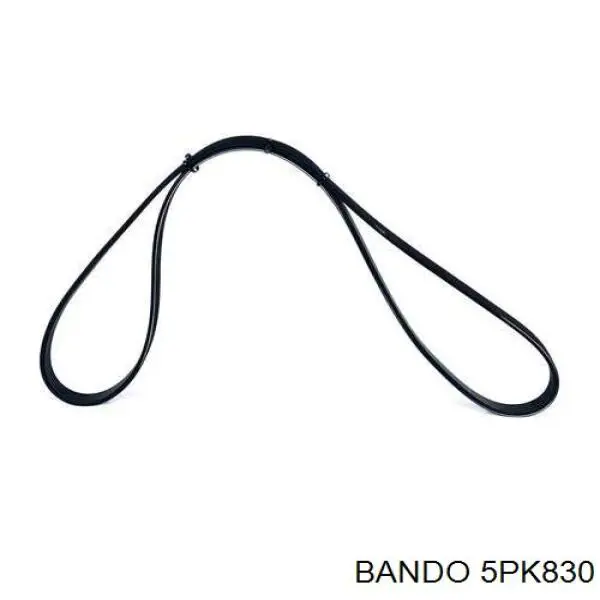 5PK830 Bando