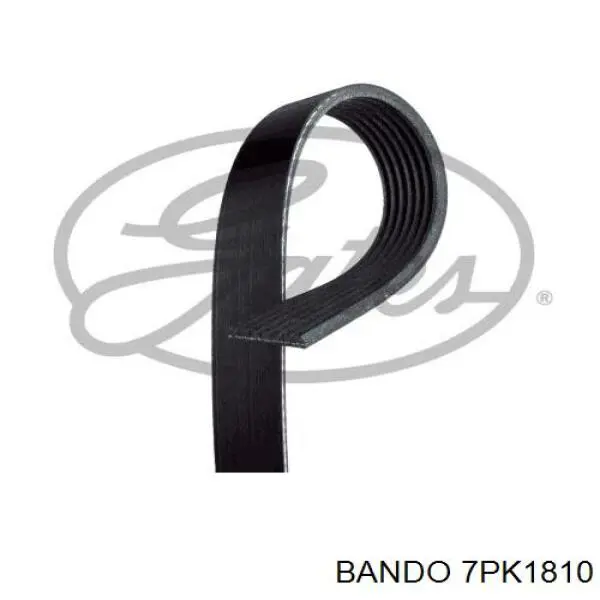 7PK1810 Bando ремень генератора