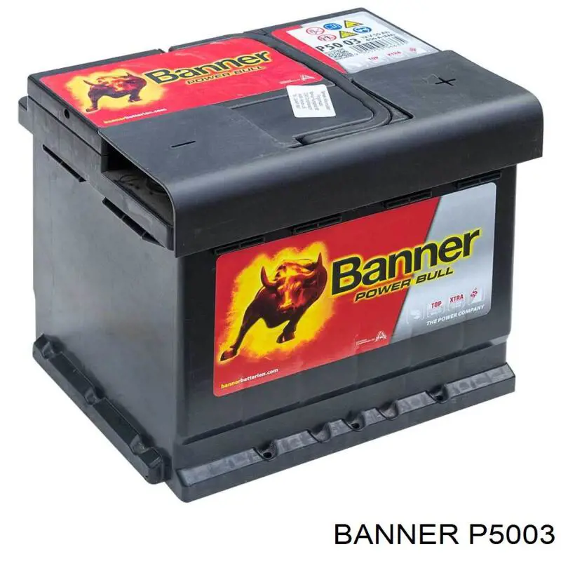 Аккумулятор Banner Power Bull 50 А/ч 12 В B13 P5003