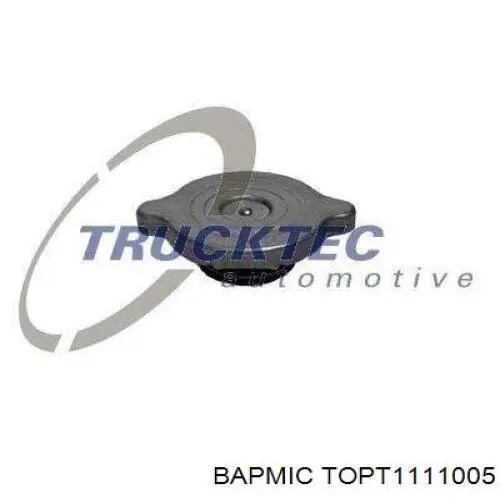 Крышка радиатора TOPT1111005 BAPMIC