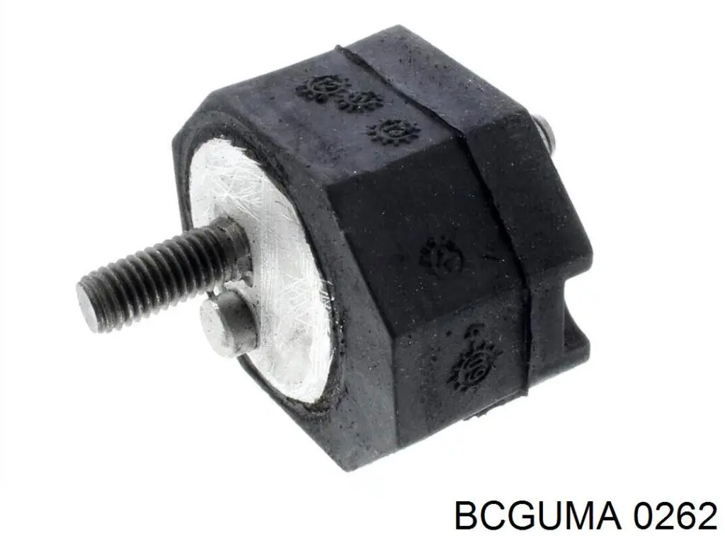 0262 Bcguma