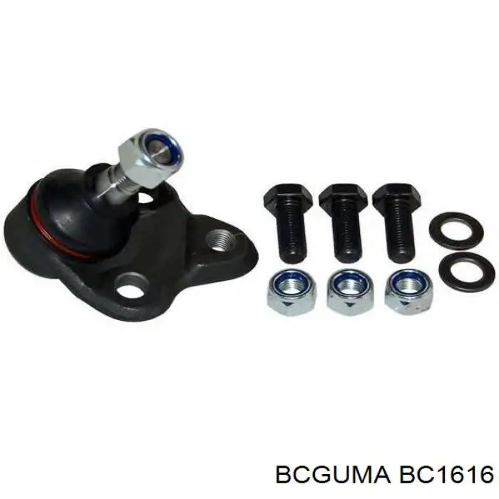 Купить BC1616 Bcguma Сайлентблок заднего продольного рычага задний