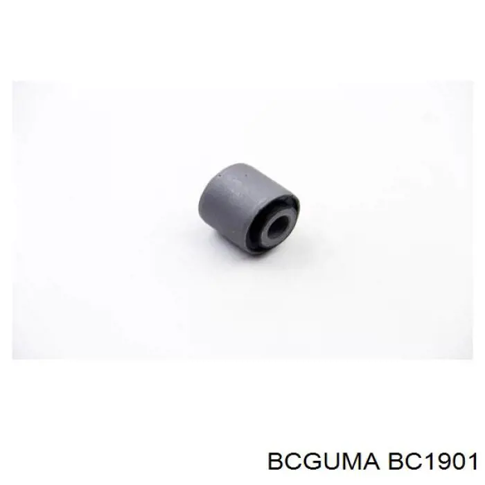 BC1901 Bcguma