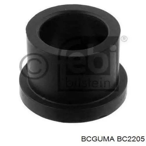 BC2205 Bcguma