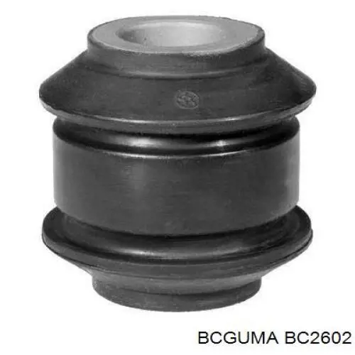 BC2602 Bcguma