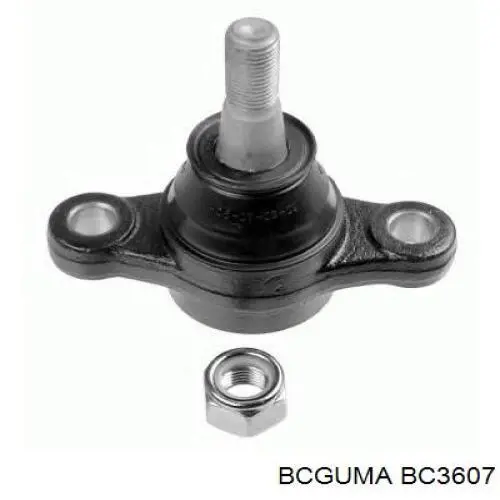 BC3607 Bcguma