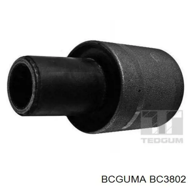 BC3802 Bcguma