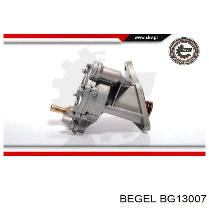 BG 13007 Begel насос вакуумный