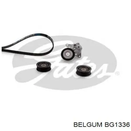 BG1336 Belgum