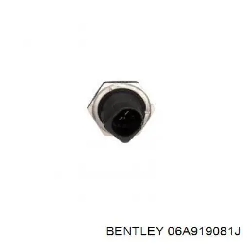 Купить 06A919081J Bentley Датчик давления масла