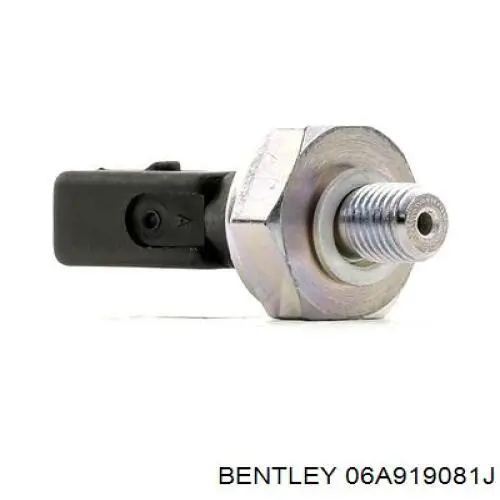Датчик давления масла двигателя Bentley 06A919081J