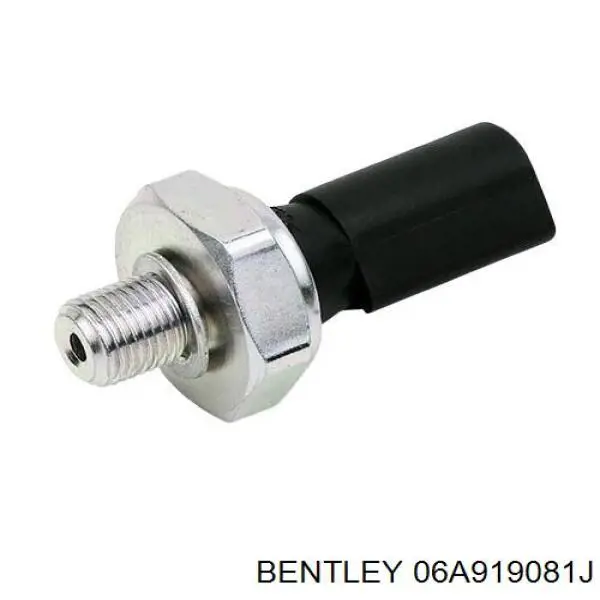 Манометры (указатель давления масла) Bentley 06A919081J цена, от 4.31 USD