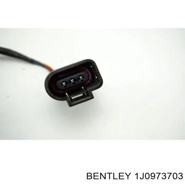  1J0973703 Bentley