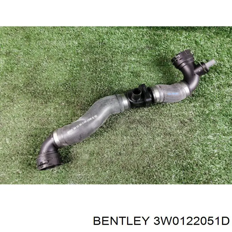  3W0122051D Bentley