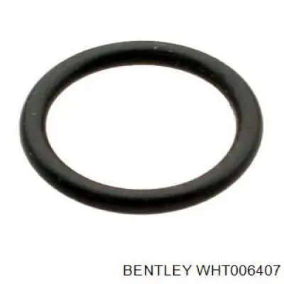 WHT006407 Bentley vedante anular do sistema de esfriamento